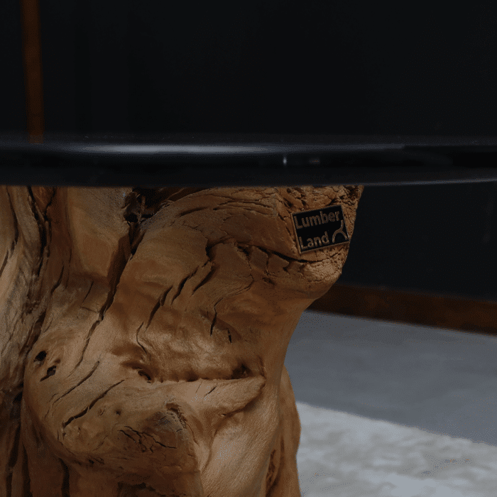 طاولة قهوة الجذر CT0058