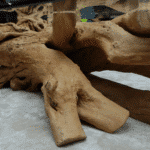 طاولة قهوة من الجذور CT0059