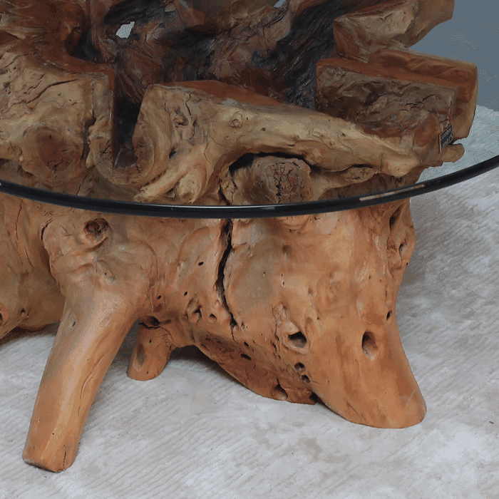 طاولة القهوة من الجذور الطبيعية CT0049