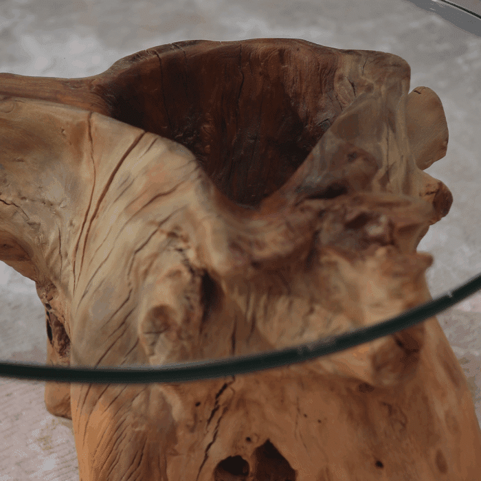 طاولة قهوة جذر شجرة CT0050