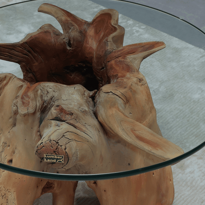 طاولة قهوة جذر شجرة CT0052