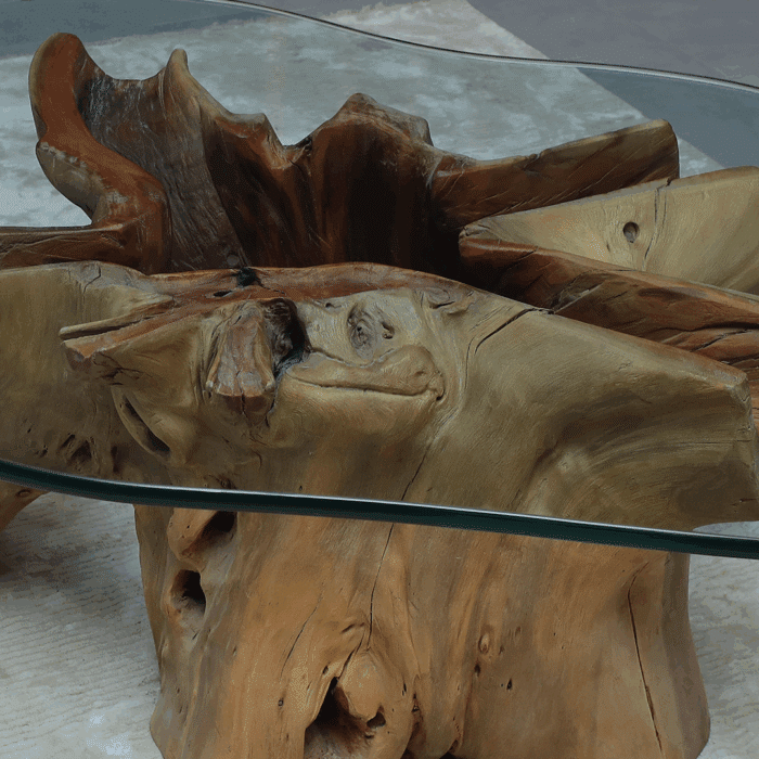 طاولة القهوة من الجذور الطبيعية CT0055