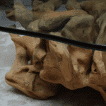 طاولة قهوة جذر شجرة CT0056