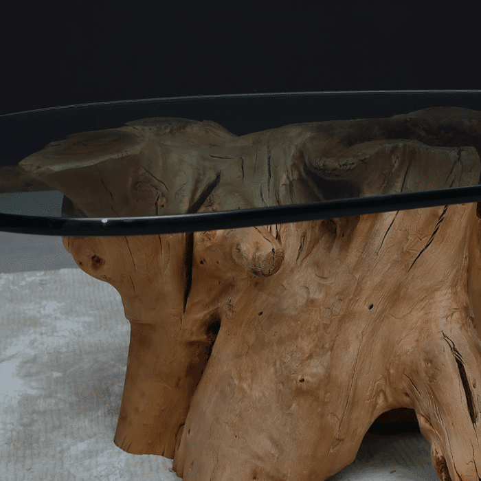 طاولة قهوة الجذر CT0058