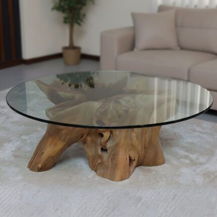 طاولة القهوة من الجذور الطبيعية CT0055