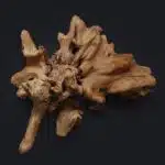 وحدة التحكم LU0027