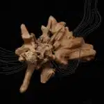 وحدة التحكم LU0027