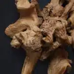 وحدة التحكم LU0027