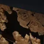 وحدة التحكم LU0028