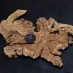 Natural Wood Watch LU0041