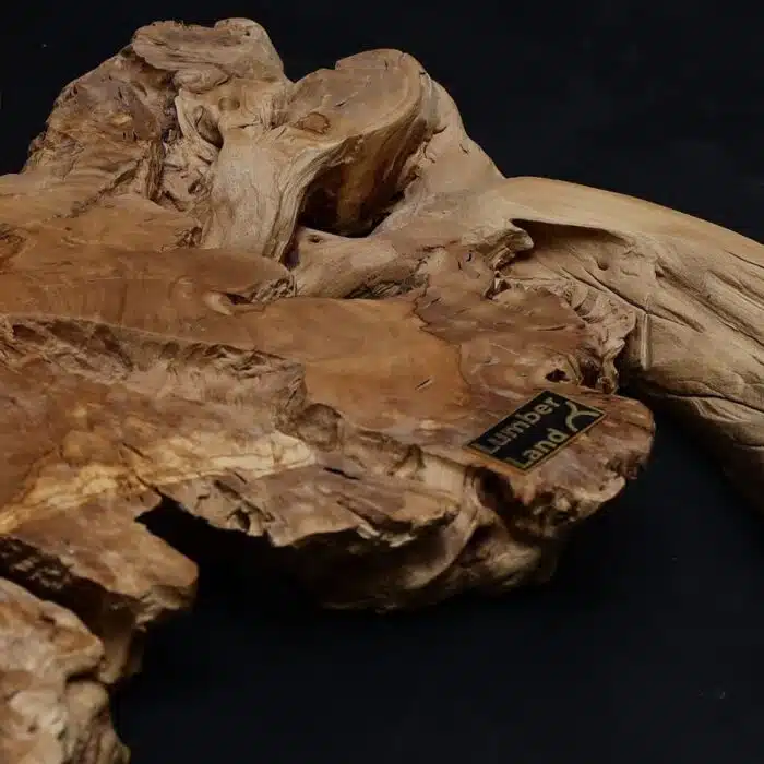 Natural Wood Watch LU0041