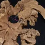 Natural Wood Watch LU0041