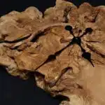 Natural Wood Watch LU0045