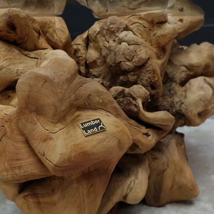 طاولة من الجذور الطبيعية CT0060