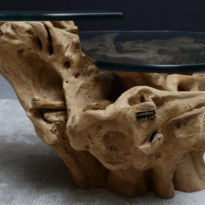 طاولة القهوة من الجذور الطبيعية CT0064