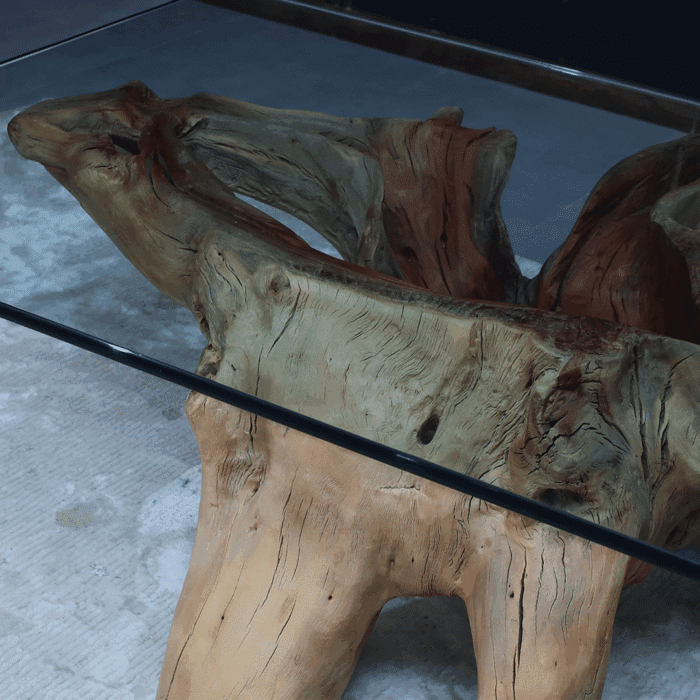 طاولة القهوة من الجذور الطبيعية CT0063