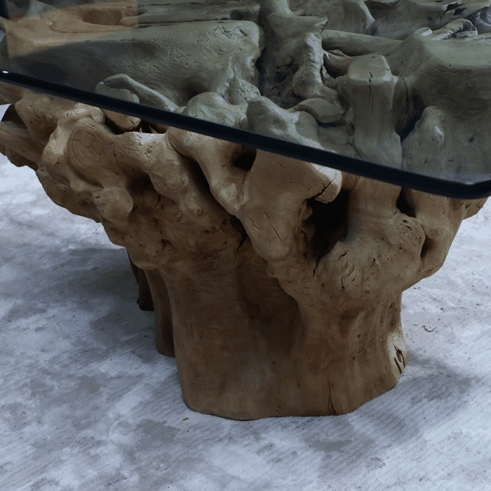 طاولة القهوة من الجذور الطبيعية CT0062