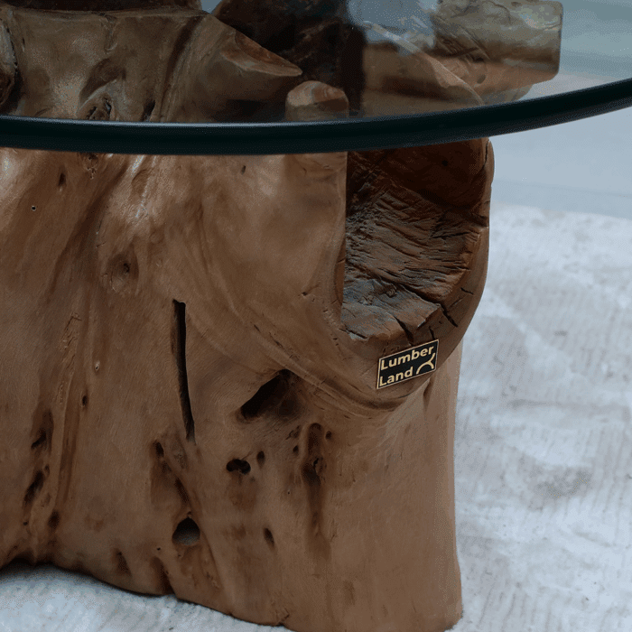 طاولة القهوة من الجذور الطبيعية CT0066