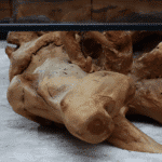 طاولة القهوة من الجذور الطبيعية CT0065