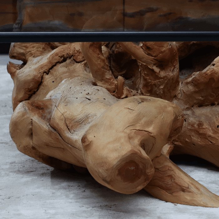 طاولة القهوة من الجذور الطبيعية CT0065