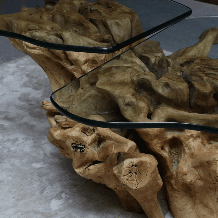 طاولة القهوة من الجذور الطبيعية CT0064