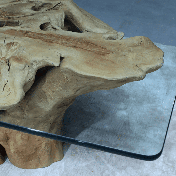 طاولة القهوة من الجذور الطبيعية CT0062