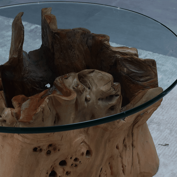 طاولة القهوة من الجذور الطبيعية CT0066