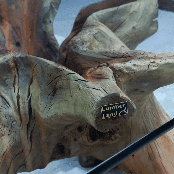 طاولة القهوة من الجذور الطبيعية CT0063