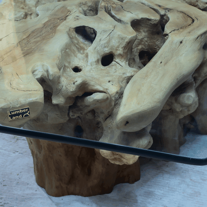 طاولة القهوة من الجذور الطبيعية CT0062