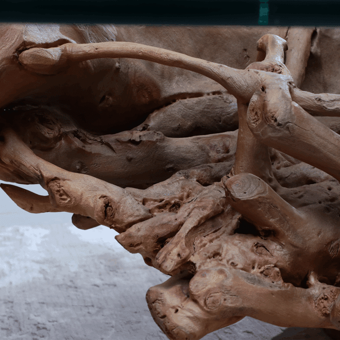 طاولة القهوة من الجذور الطبيعية CT0061