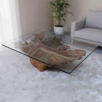 طاولة القهوة من الجذور الطبيعية CT0061