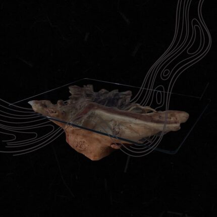 Root Coffee Table CT0061