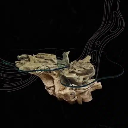 Root Coffee Table CT0064