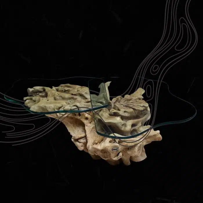 Root Coffee Table CT0064