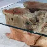 طاولة القهوة من الجذور الطبيعية CT0065