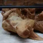 طاولة القهوة من الجذور الطبيعية CT0065