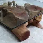 طاولة القهوة من الجذور الطبيعية CT0065