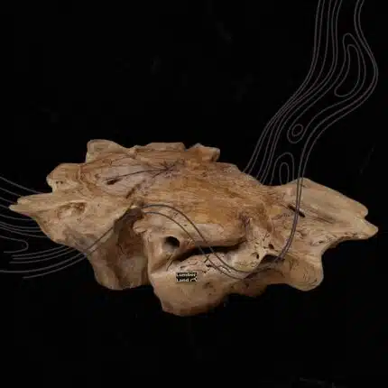 Root Coffee Table CT0068