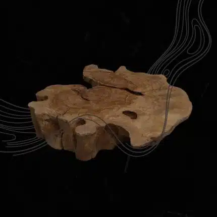 طاولة قهوة من جذور الشجر الطبيعي CT0071