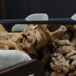 طاولة طعام من جذور الأشجار الطبيعية DT0016