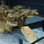 طاولة طعام من جذر الشجر الطبيعي DT0018